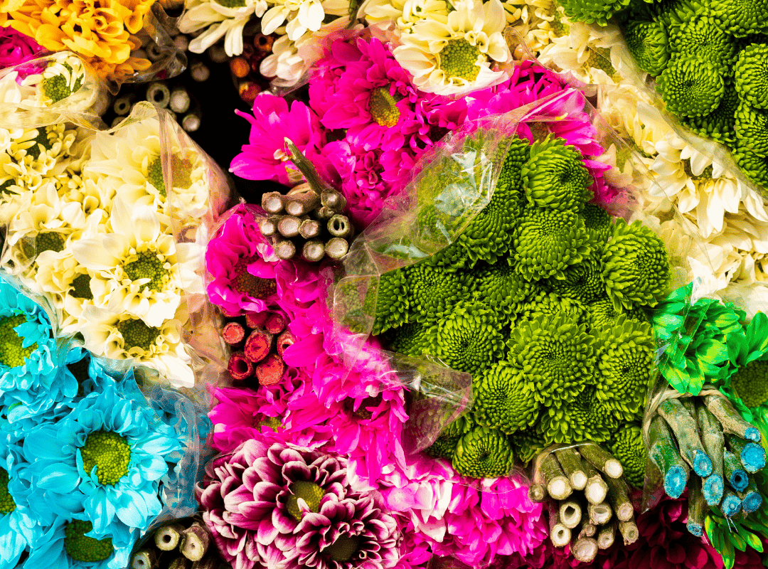 flowers tours in medellin