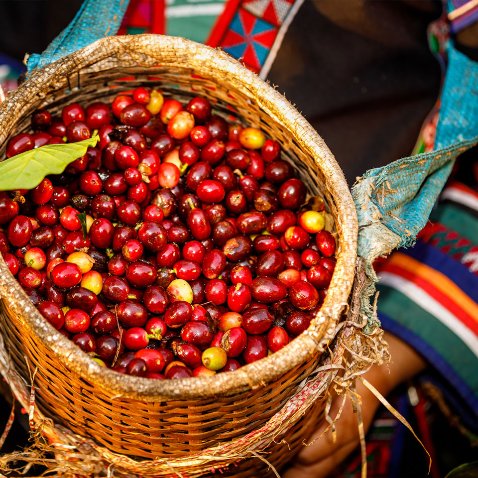 Colombia Travel agents