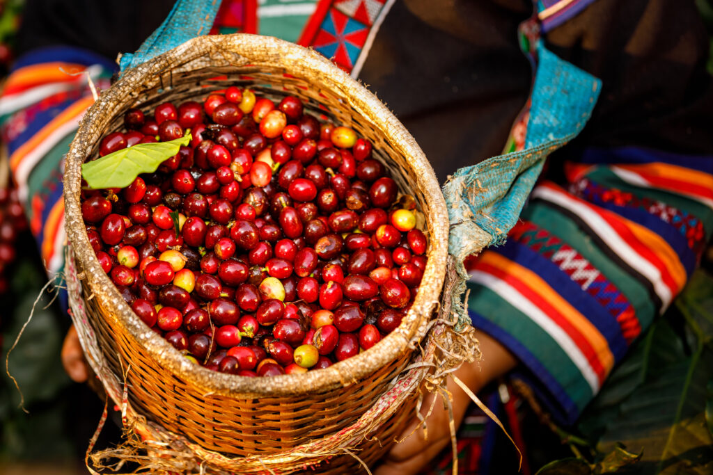coffee farm experience in colombia