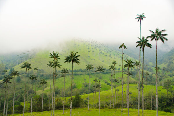 Colombia Travel Packages all inclusive