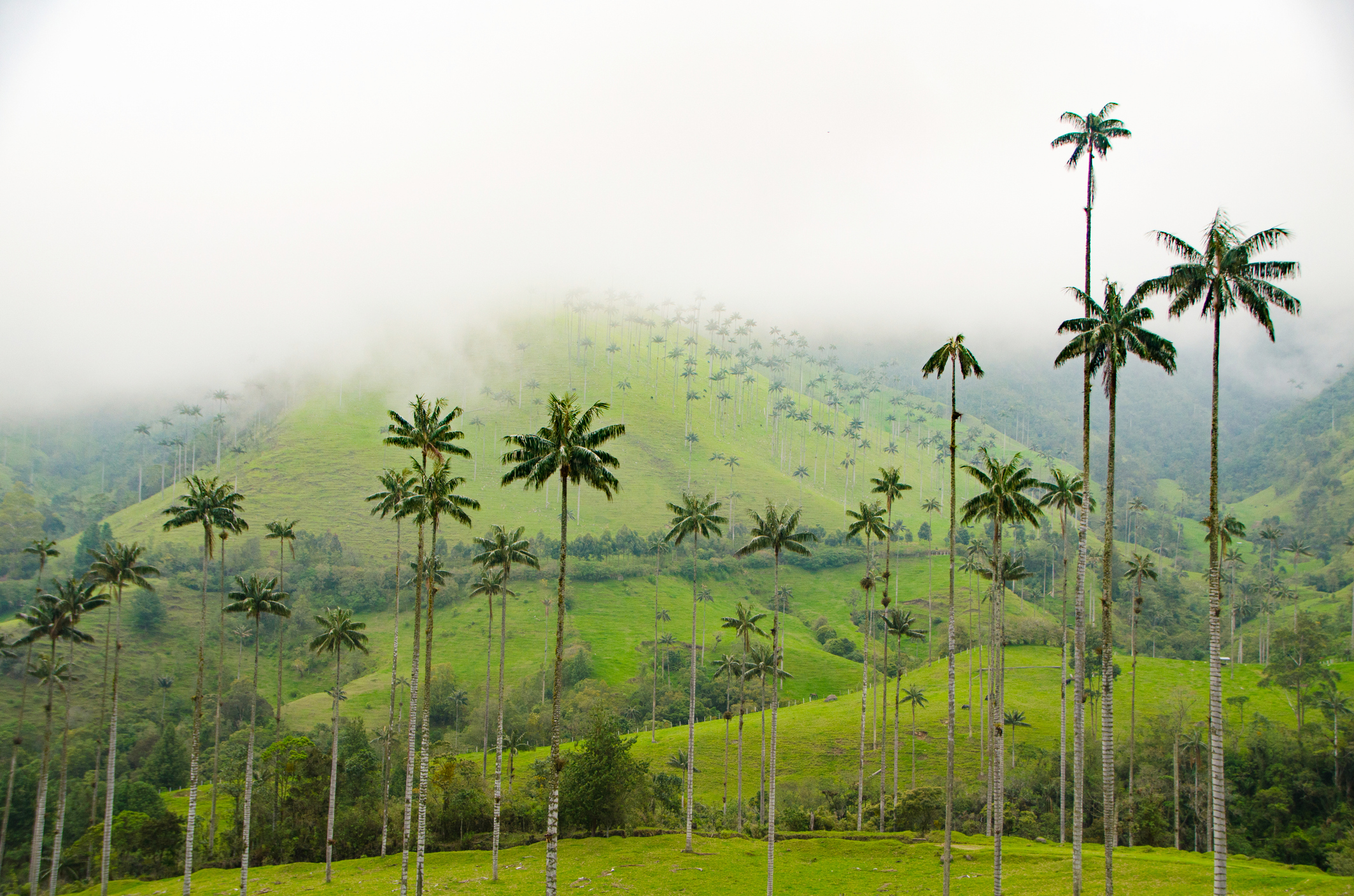 Colombia Travel Packages all inclusive
