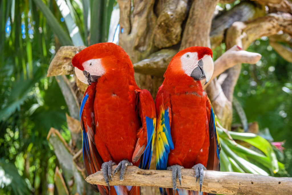 Travel operators in Colombia