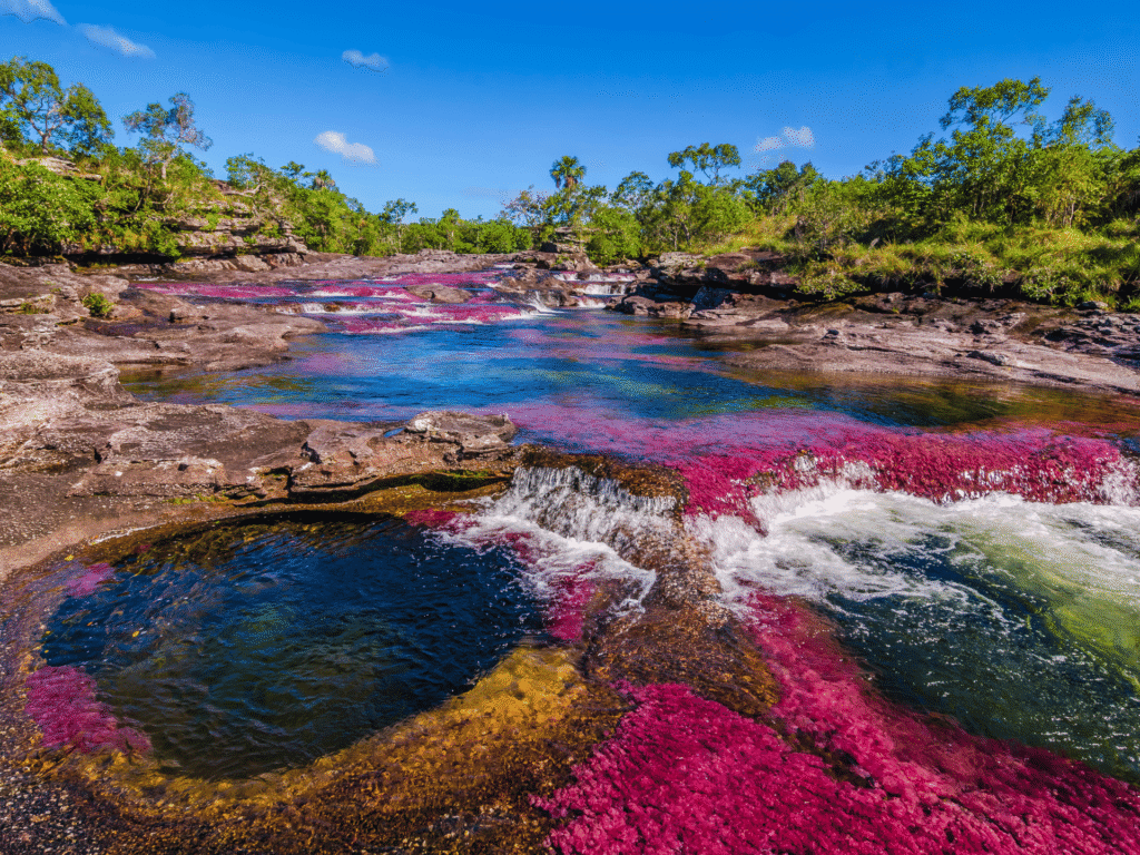 itinerario Caño Cristales Colombia