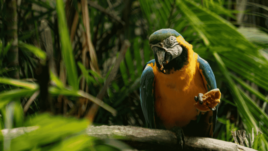 Amazon jungle packing list Colombia