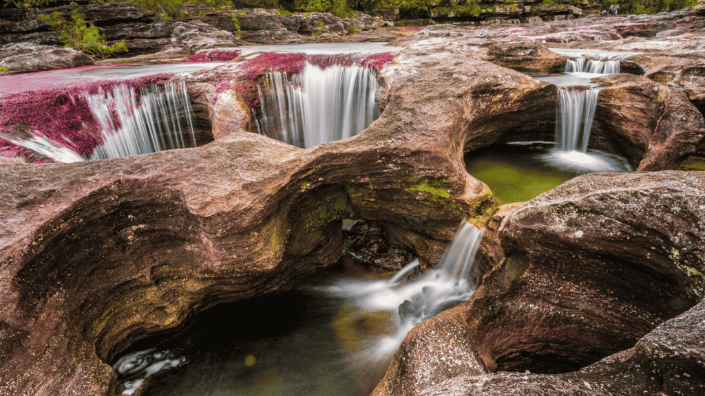 Rainbow river ptivate tour in Colombia