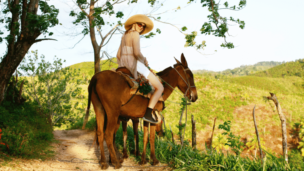 Traditional Mule Backcountry Expedition