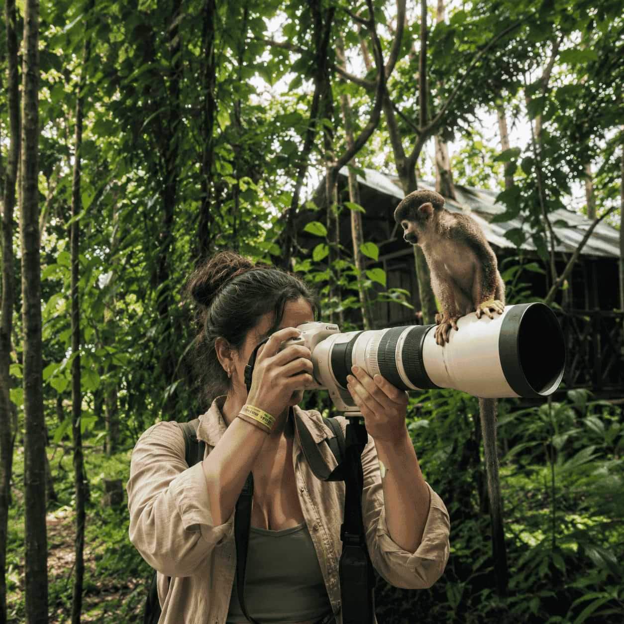 Amazon Rain Forest